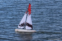 IMG_0731.JPG
