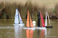 IMG_0955.JPG