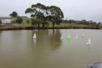17-IMG_8509.JPG