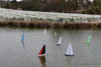 IMG_1541.JPG