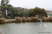 IMG_1555.JPG