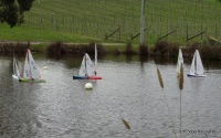 DSC00165.JPG