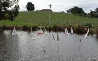 DSC00166.JPG