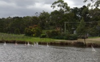 DSC00170.JPG
