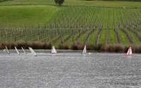DSC00173.JPG