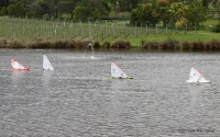 DSC00178.JPG