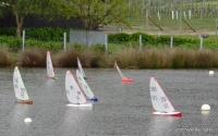 DSC00184.JPG