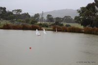 35-IMG_8528.JPG