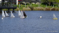 DSC00195.JPG
