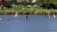 DSC00203.JPG