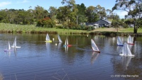 DSC00250.JPG