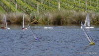 DSC00255.JPG