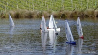 DSC00263.JPG