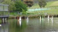 DSC00278.JPG