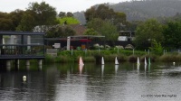 DSC00279.JPG