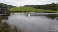 DSC00291.JPG