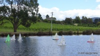 DSC00313.JPG