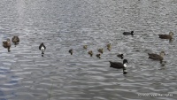 DSC00314.JPG