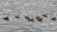DSC00315.JPG