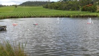 DSC00319.JPG