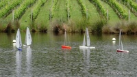 DSC00323.JPG
