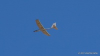 IMG_1932.JPG