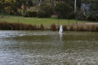 28-IMG_8482.JPG