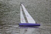 IMG_2242.JPG