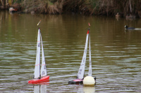 IMG_2246.JPG
