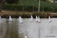 IMG_2264.JPG