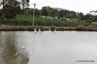 IMG_2333.JPG