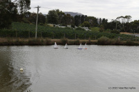 IMG_2334.JPG
