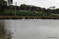 IMG_2335.JPG