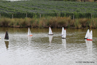 IMG_2354.JPG