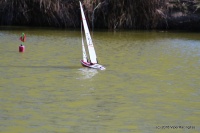 007-IMG_8147.JPG