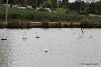 IMG_2425.JPG