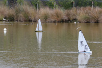 IMG_3329.JPG
