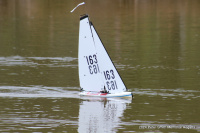 IMG_3330.JPG