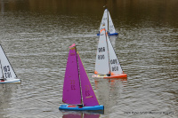 IMG_3339.JPG