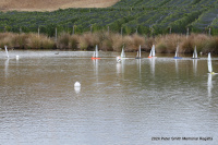 IMG_3349.JPG