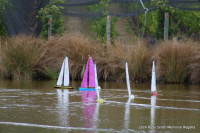 IMG_3351.JPG
