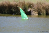 019-IMG_8159.JPG