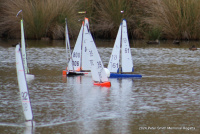 IMG_3353.JPG