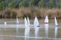 IMG_3354.JPG