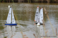 IMG_3390.JPG