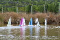 IMG_3415.JPG