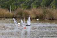 IMG_3416.JPG