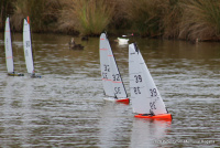 IMG_3417.JPG