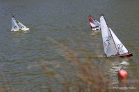 066-IMG_8206.JPG