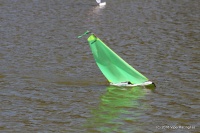 090-IMG_8230.JPG